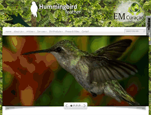 Tablet Screenshot of hummingbirdfeather.com